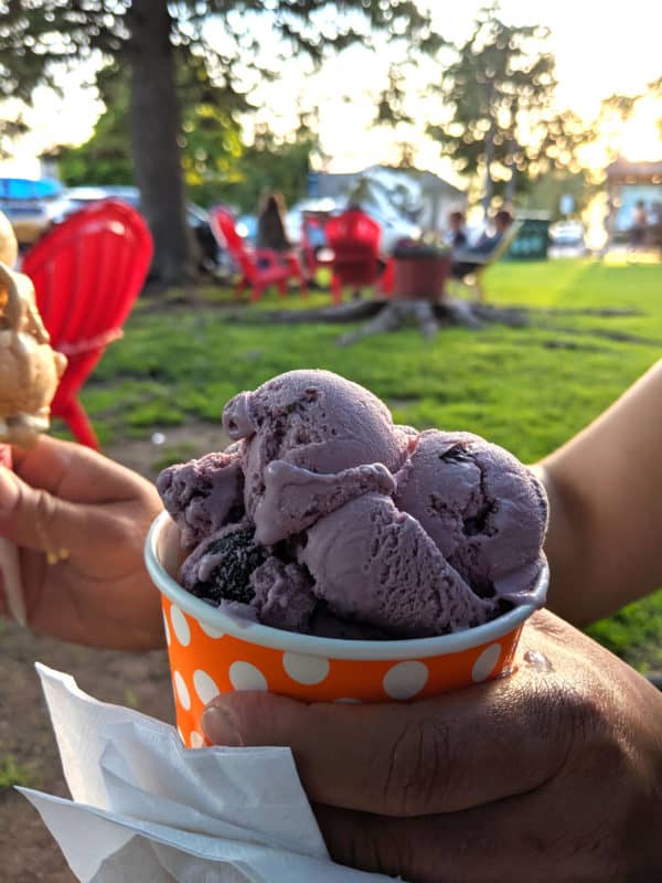 Madeline Island ice cream cup