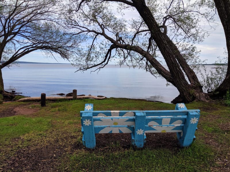Bench on shoreline