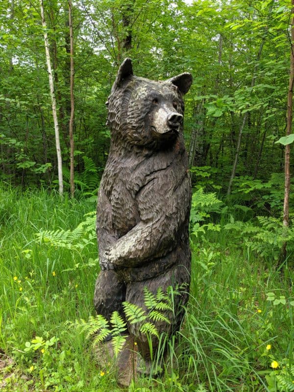Madeline Island Bear